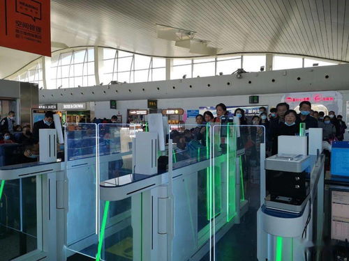 乌鲁木齐机场高科技设备提升服务，信息技术咨询服务助力智慧出行